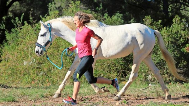 Joggen mit Pferd