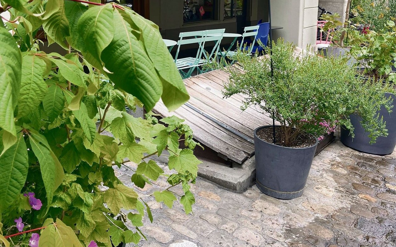 Menschen, Insekten und Pflanzen blühen in der Postgasse auf. 